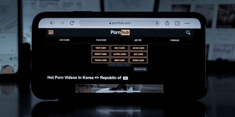 Податкова в Україні оштрафувала PornHub